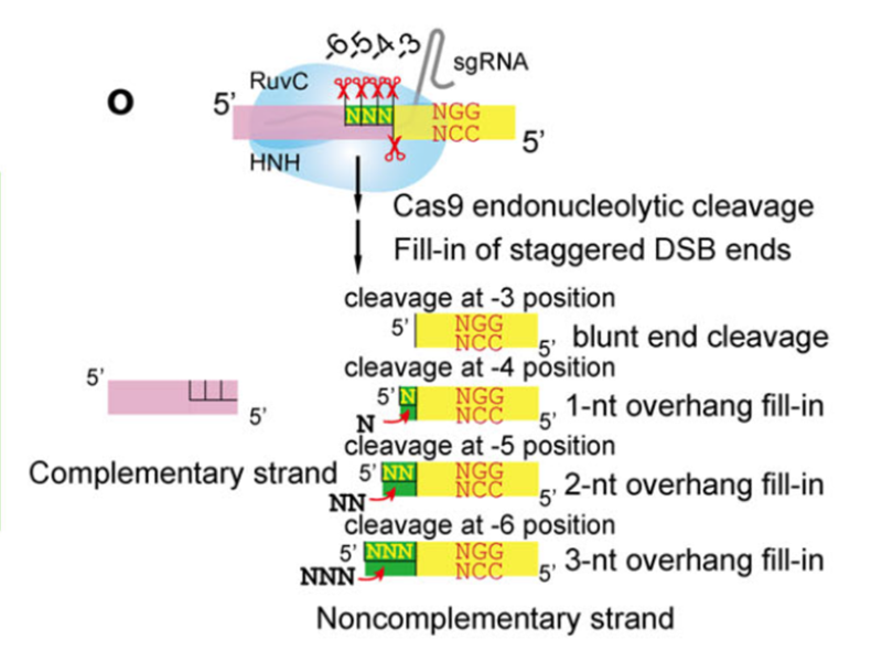 http://scsb.sjtu.edu.cn/upload/image/20191002/20191002140705.png